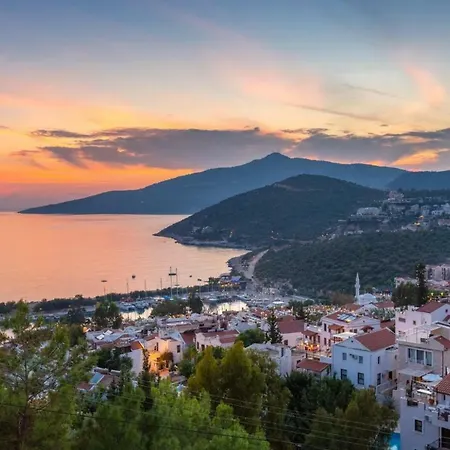 Papaya Kalkan