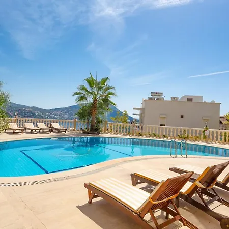 Papaya Kalkan